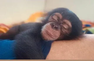 Стикер Больше стиков тут: @stikery4 - 8