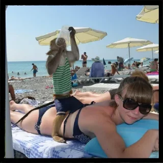 Стикер Больше стиков тут: @stikery4 - 2