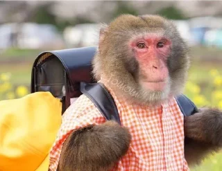 Стикер Больше стиков тут: @stikery4 - 11