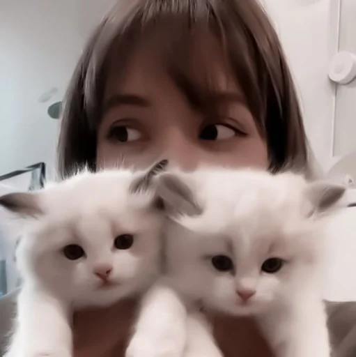 Стикер 🎨 - 𝐥𝐢𝐬𝐚`. | @pecjuwr :: @fStikBot - 9