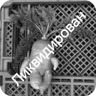 Sticker Руниан ликвидирован - 9