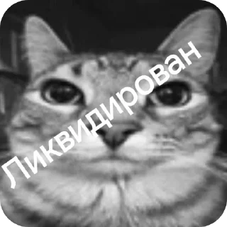 Sticker Руниан ликвидирован - 2