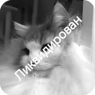 Sticker Руниан ликвидирован - 3