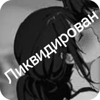 Sticker Руниан ликвидирован - 5