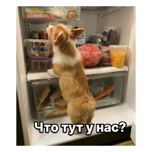 Стикер Rurau7 - 1