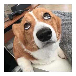 Sticker Рурау - 2