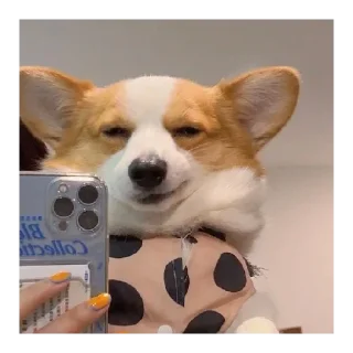 Sticker Рурау - 8