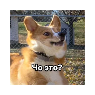 Sticker Рурау - 1