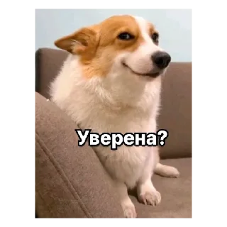 Sticker Рурау - 10