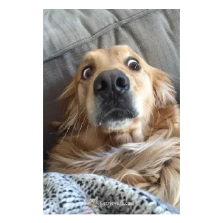 Sticker Рурау - 11