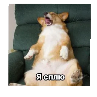 Sticker Рурау - 4