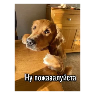 Sticker Рурау - 6