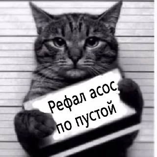 Стикер Refund by @darkkitty - 2