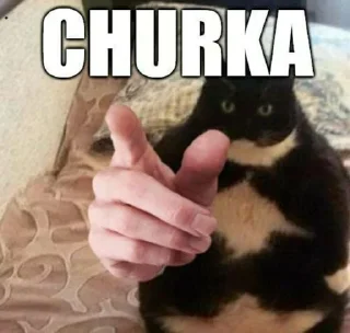 СМС млекопитающее животное