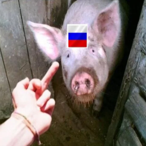 Стикер RussianKatsapinki - 1