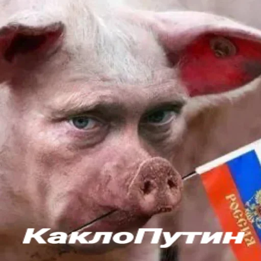 Sticker RussianKatsapinki - 1