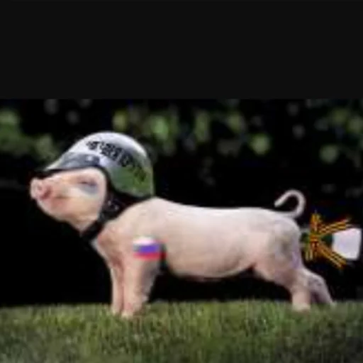 Стикер RussianKatsapinki - 1