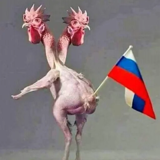 Стикер RussianKatsapinki - 1