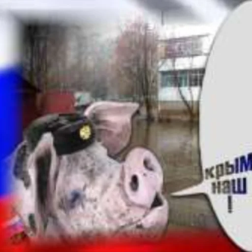 Sticker RussianKatsapinki - 1