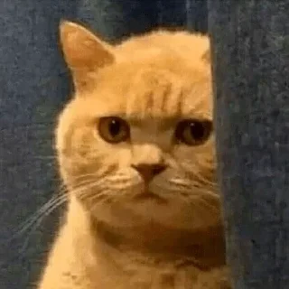 Стикер Для элиты - 2