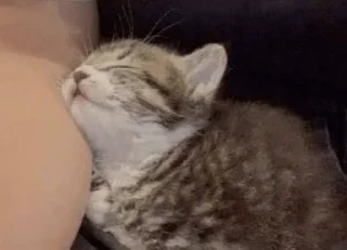 Стикер Для элиты - 6