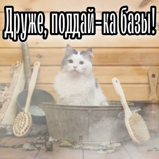 Стикер Russkie_Koty_Z - 1