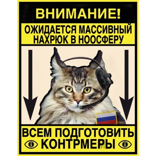 Стикер Russkie_Koty_Z - 1