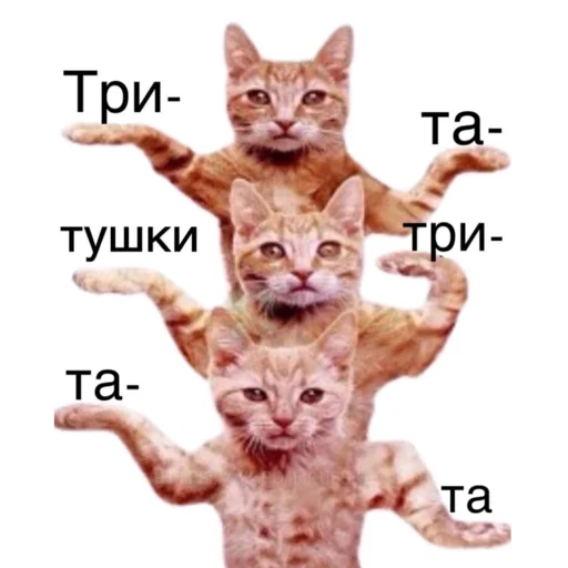 Стикер Russkie_Koty_Z - 1