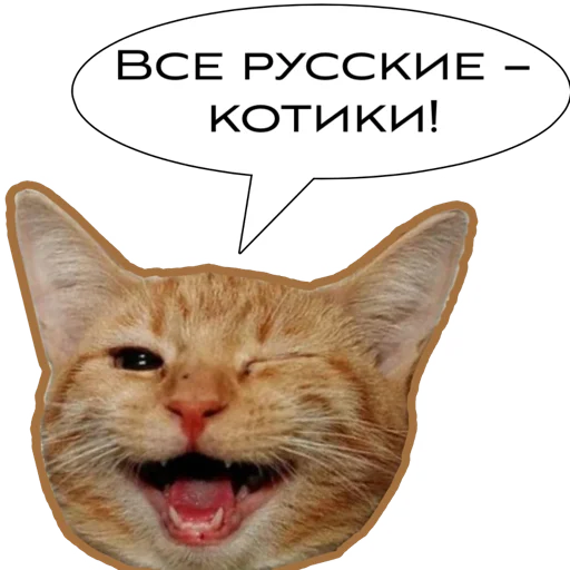 Стикер Russkie_Koty_Z - 1