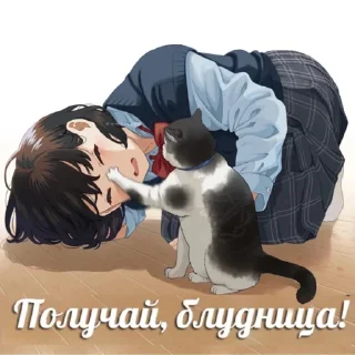 Sticker Первая Кошачья Дивизия @russkie_koti - 2