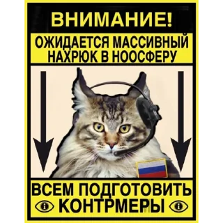 Sticker Первая Кошачья Дивизия @russkie_koti - 7