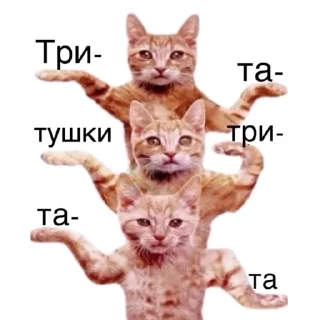 Sticker Первая Кошачья Дивизия @russkie_koti - 4