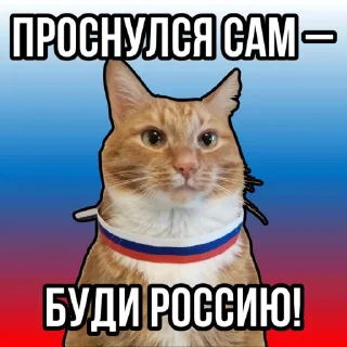 Sticker Первая Кошачья Дивизия @russkie_koti - 6
