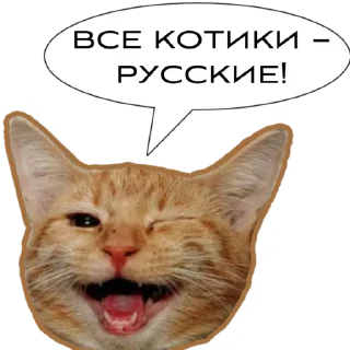 Sticker Первая Кошачья Дивизия @russkie_koti - 8