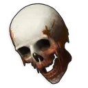 Sticker Rust pack - 3