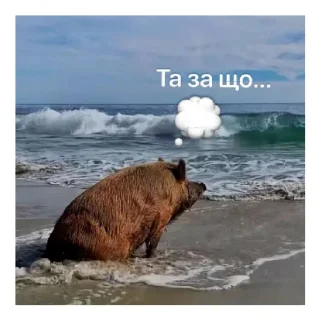 Sticker Rusviki134🇷🇺 - 6