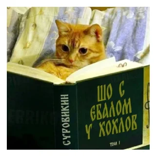 Sticker Rusviki134🇷🇺 - 1