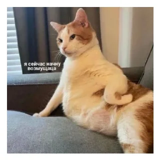 Sticker Rusviki134🇷🇺 - 7