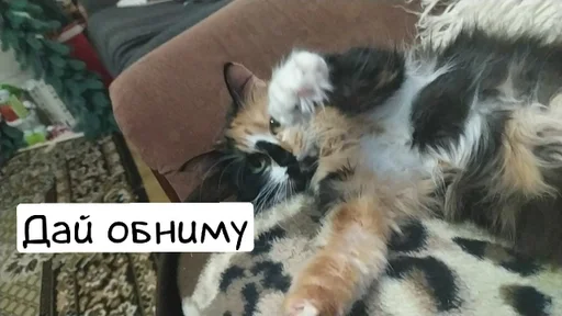 Sticker Artur :: @fStikBot - 9