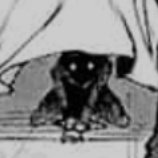 Стикер рвандо - 10