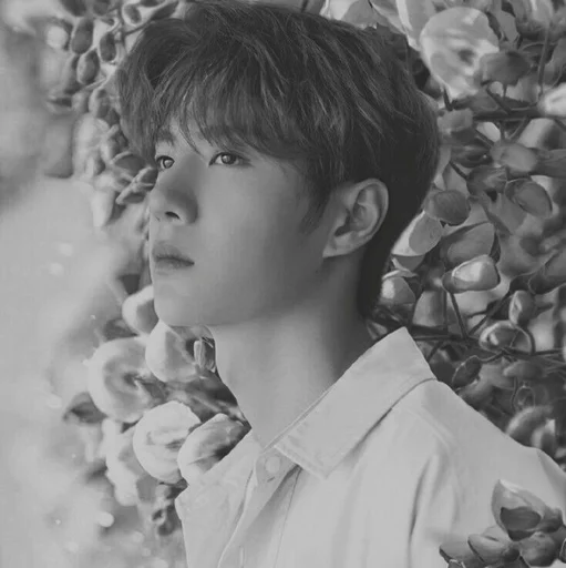 Стикер WangYibo @SwanPack - 8