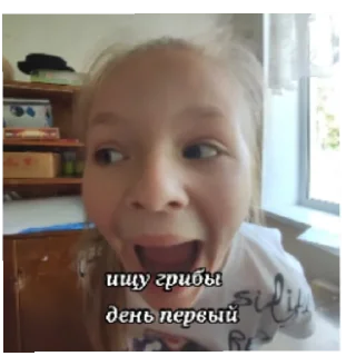 Sticker рябчики BEST - 11