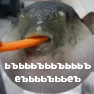 Стикер Рыбы 4 - 10