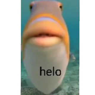 Стикер Рыбы 4 - 0