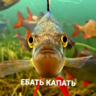 Стикер Рыбы 4 - 2