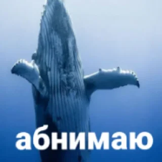 Стикер Рыбы 4 - 7