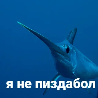 Стикер Рыбы 4 - 5