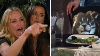 Стикер Rynder Mystscion - 6