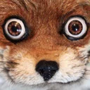 Sticker AdeleMorseTaxidermy - 5