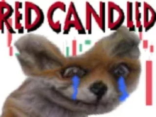 Sticker AdeleMorseTaxidermy - 11